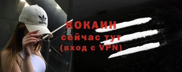 прущие крисы Абаза