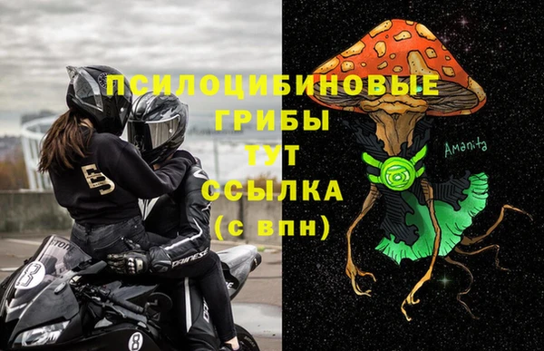 mdpv Приозерск